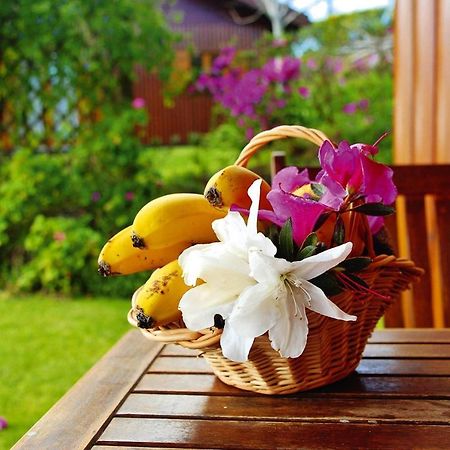 Holiday Homes Quinta Dos Curubas, Vila Franca Do Campo, Sao Miguel, Azores Екстер'єр фото