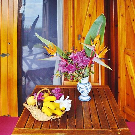 Holiday Homes Quinta Dos Curubas, Vila Franca Do Campo, Sao Miguel, Azores Екстер'єр фото
