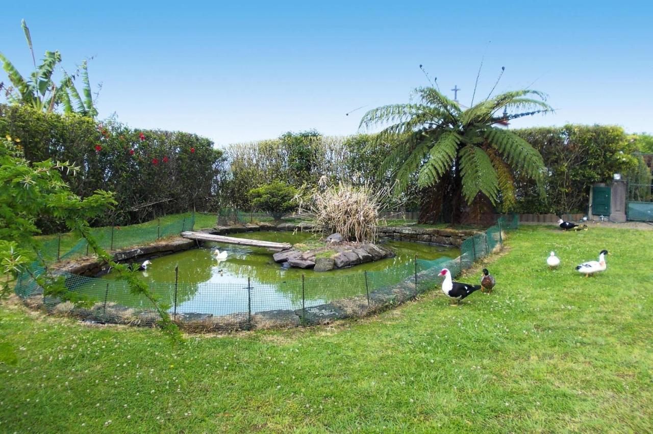 Holiday Homes Quinta Dos Curubas, Vila Franca Do Campo, Sao Miguel, Azores Екстер'єр фото