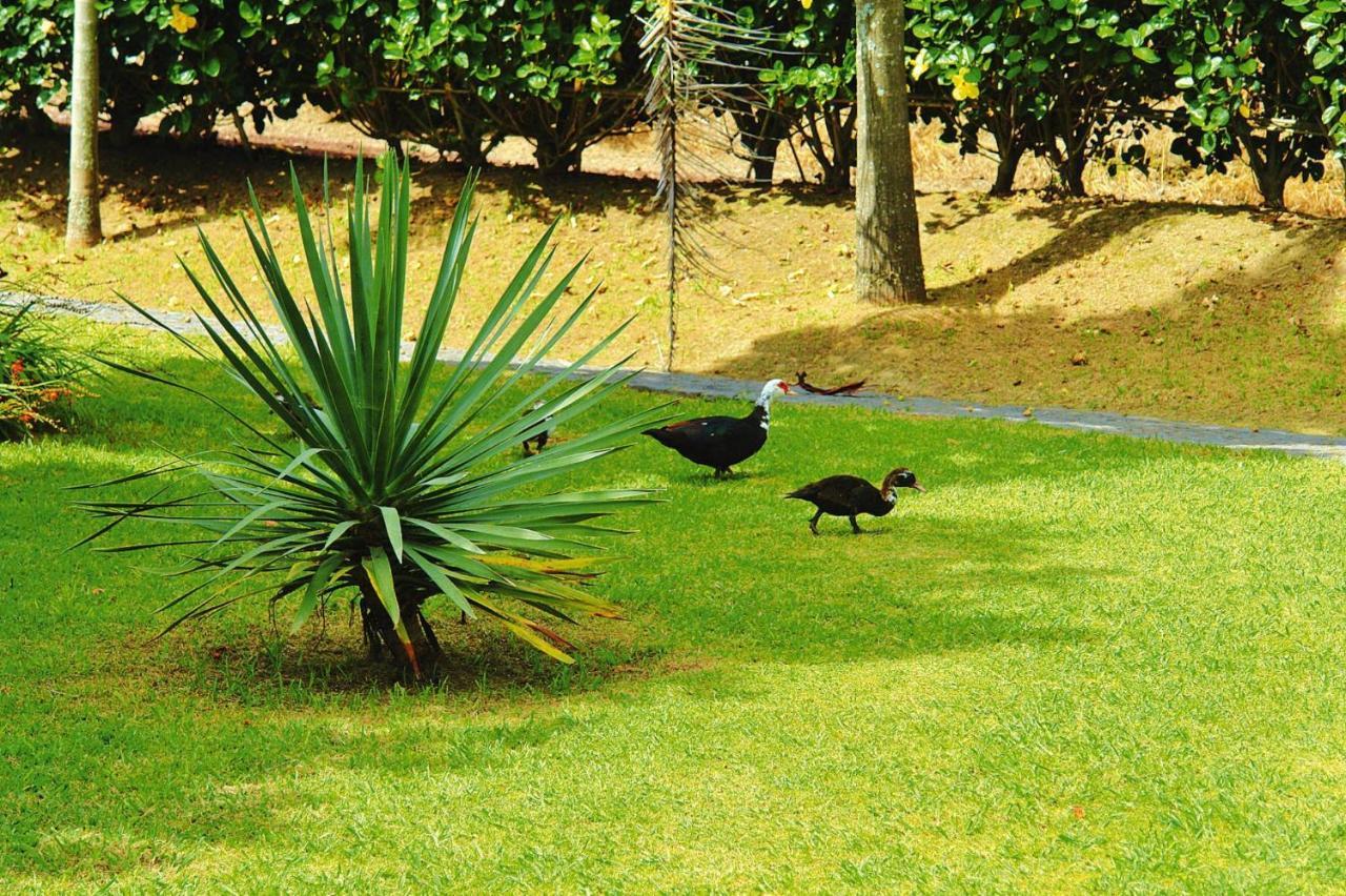 Holiday Homes Quinta Dos Curubas, Vila Franca Do Campo, Sao Miguel, Azores Екстер'єр фото